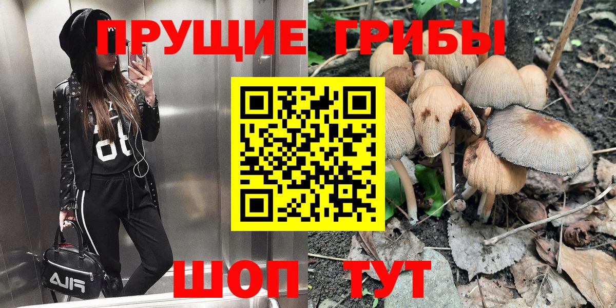 Псилоцибиновые грибы мицелий  Вход с VPN  Грязи  Псилоцибиновые грибы GOLDEN TEACHER 